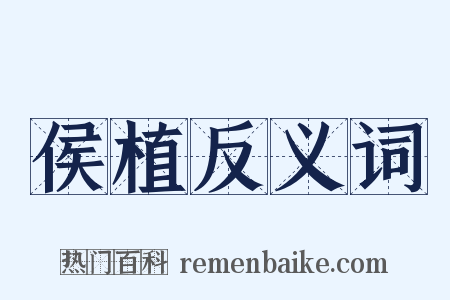 侯植反义词是什么意思的图片